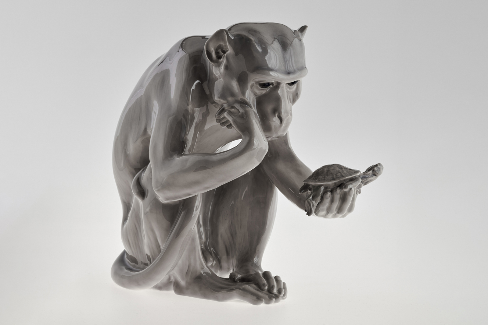 Affe mit Schildkröte